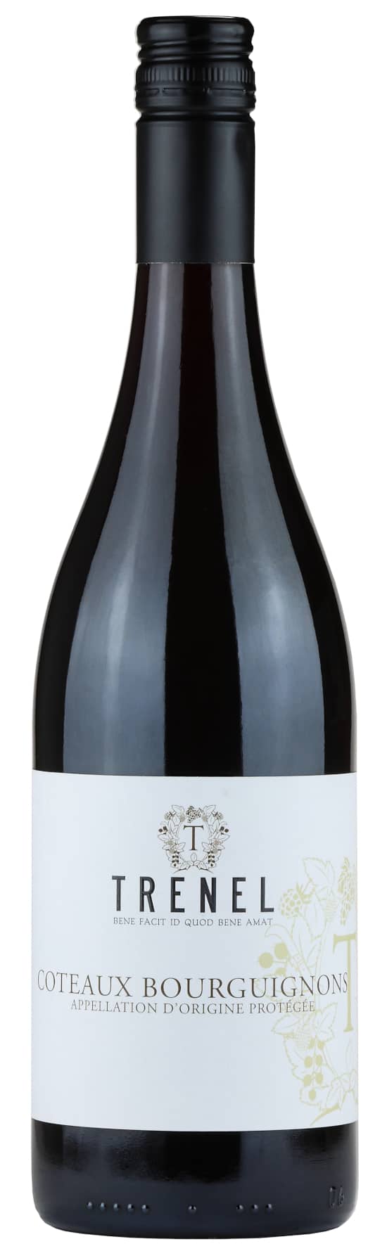Domaine Trénel Coteaux Bourguignons Vino Gamay Bottiglia