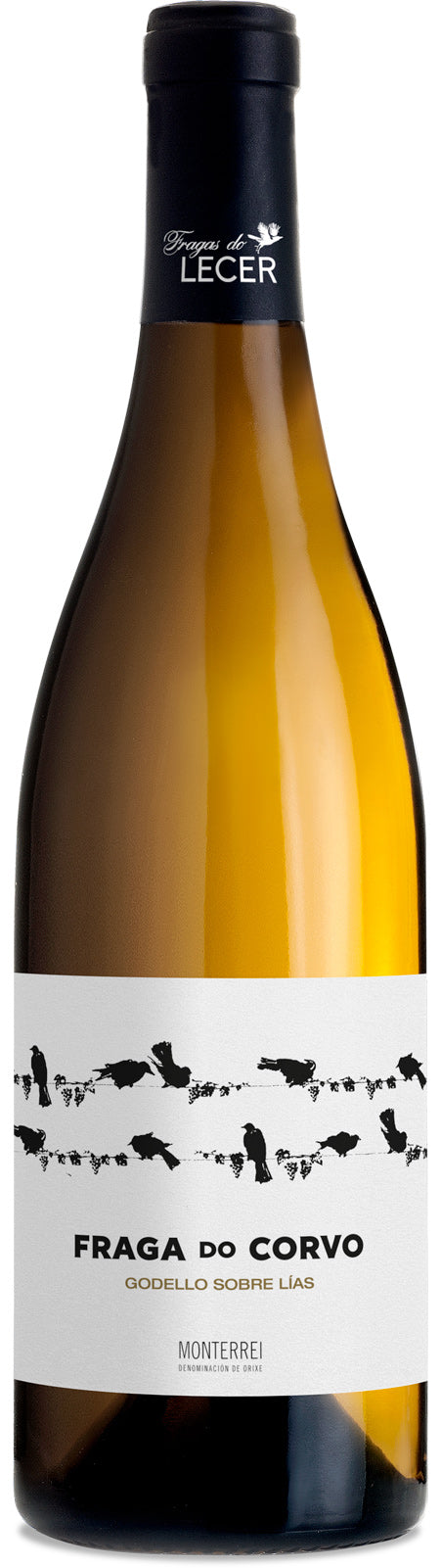 Fraga do Corvo Godello Vino Bianco Spagna fresco minerale