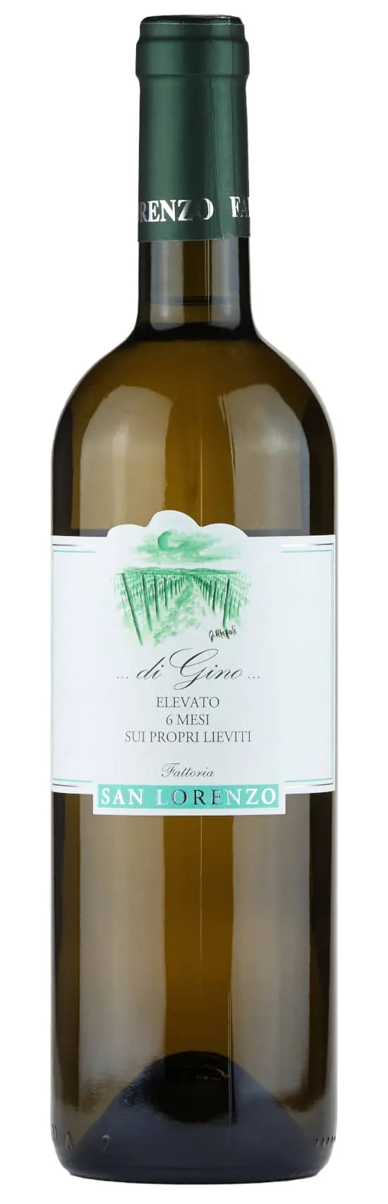 Fattoria San Lorenzo di Gino Vino Bianco Verdicchio Marche