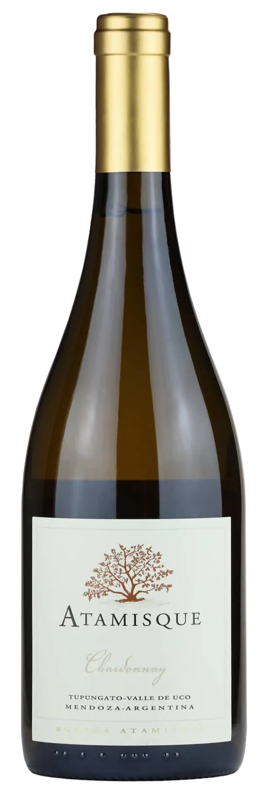 Atamisque Mendoza Chardonnay Vino bianco ananas e pera