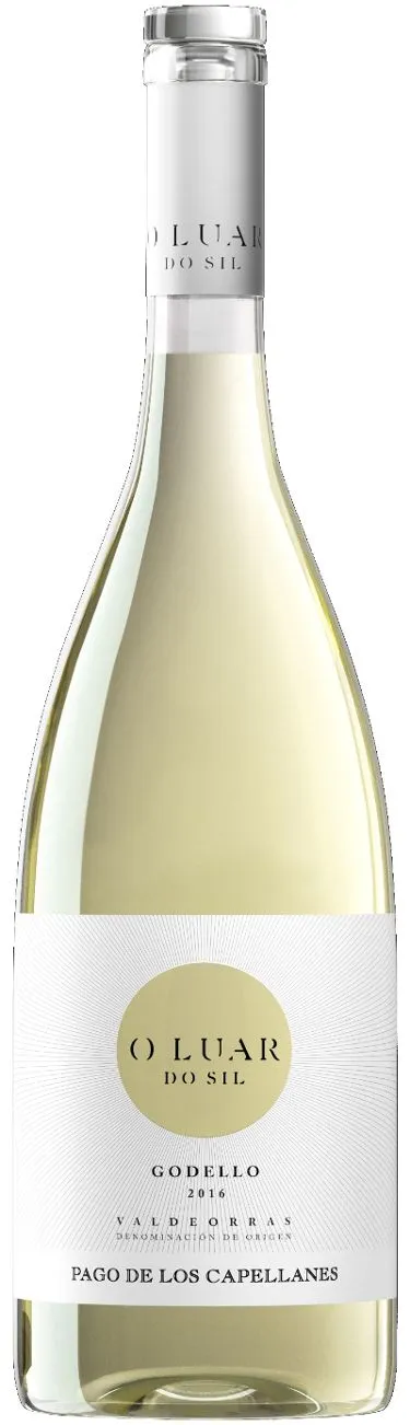 O Luar do Sil Godello vino bianco Valdeorras