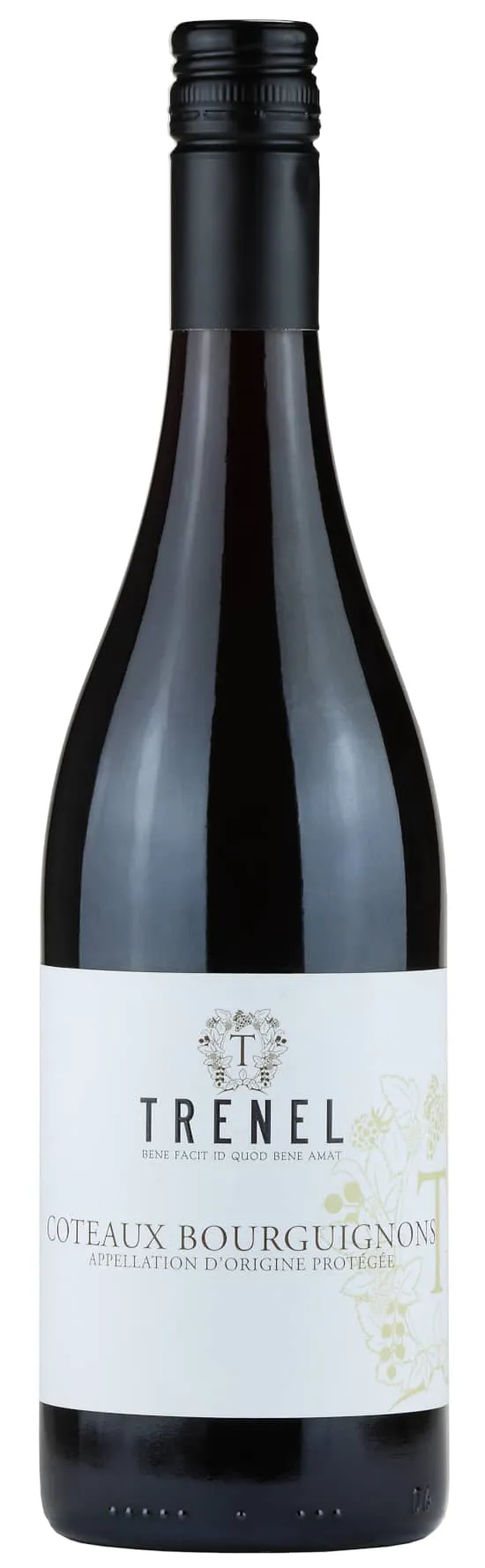 Domaine Trénel Coteaux Bourguignons Vino Gamay Bottiglia