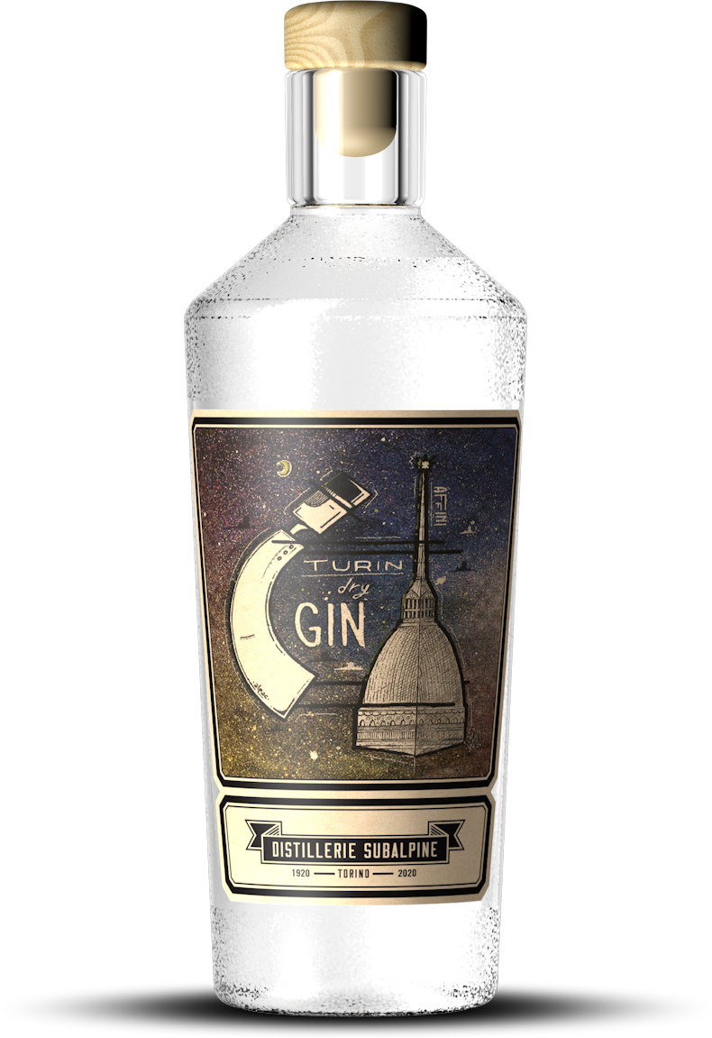 Affini Turin Gin secco 700ml 41% agrumi e ginepro