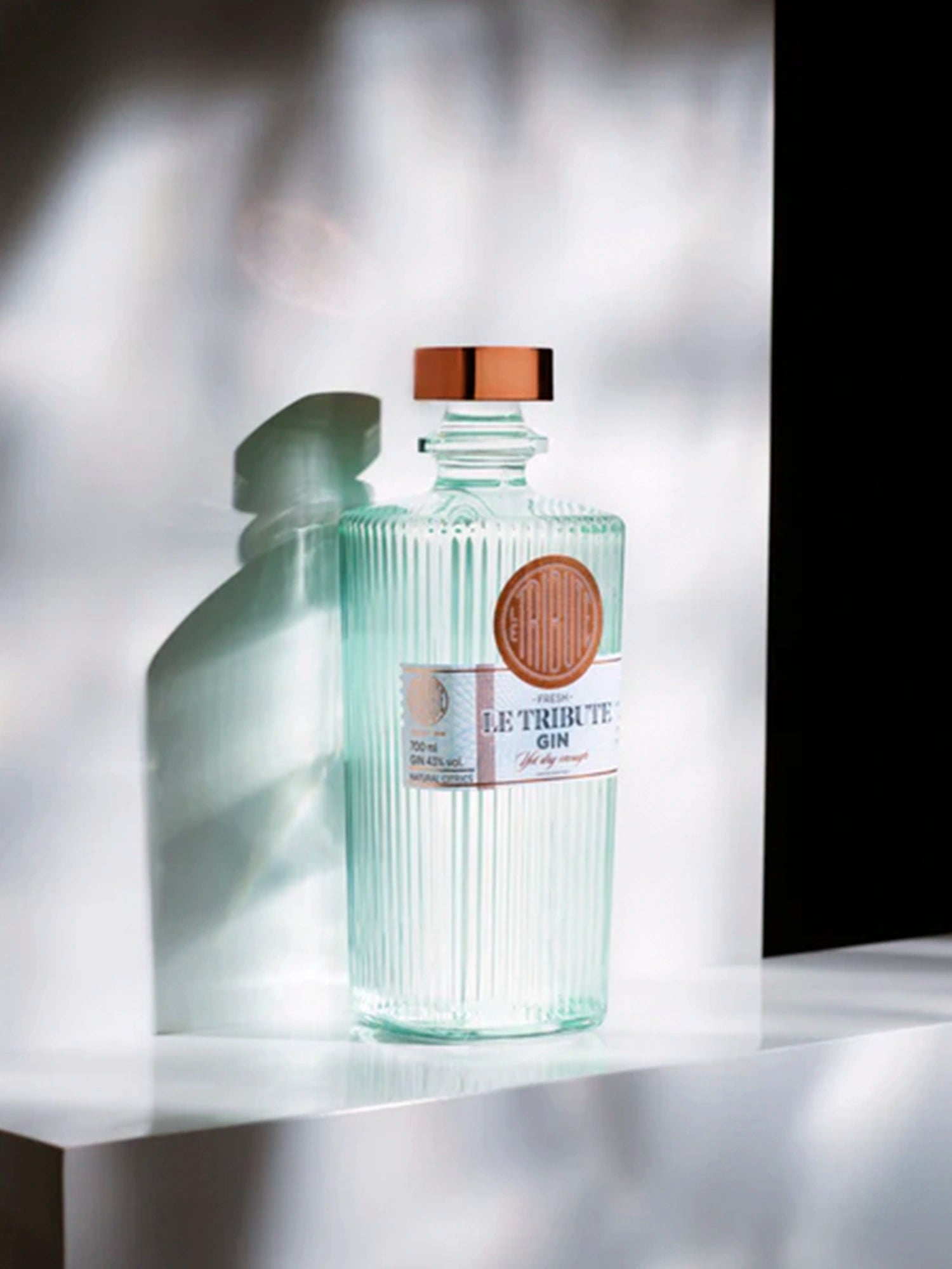 Le Tribute Gin agrumi premium 70cl fresco e secco