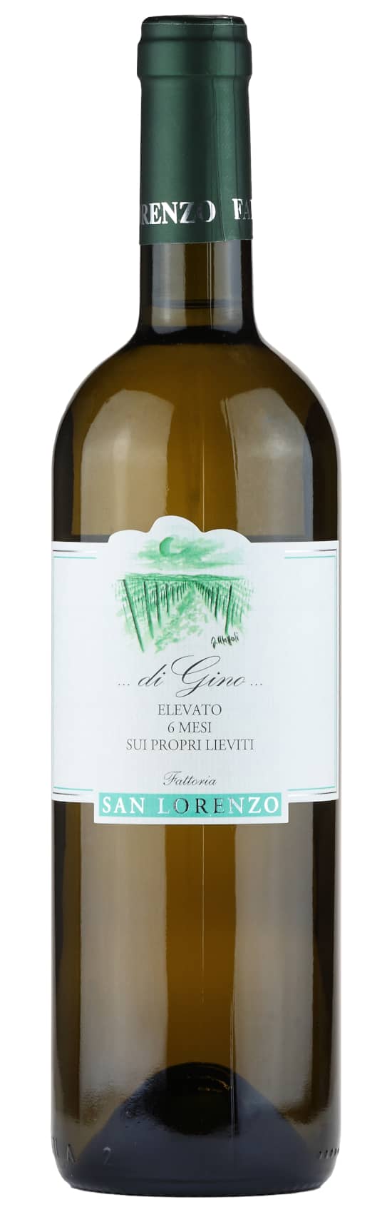 Fattoria San Lorenzo di Gino Vino Bianco Verdicchio Marche