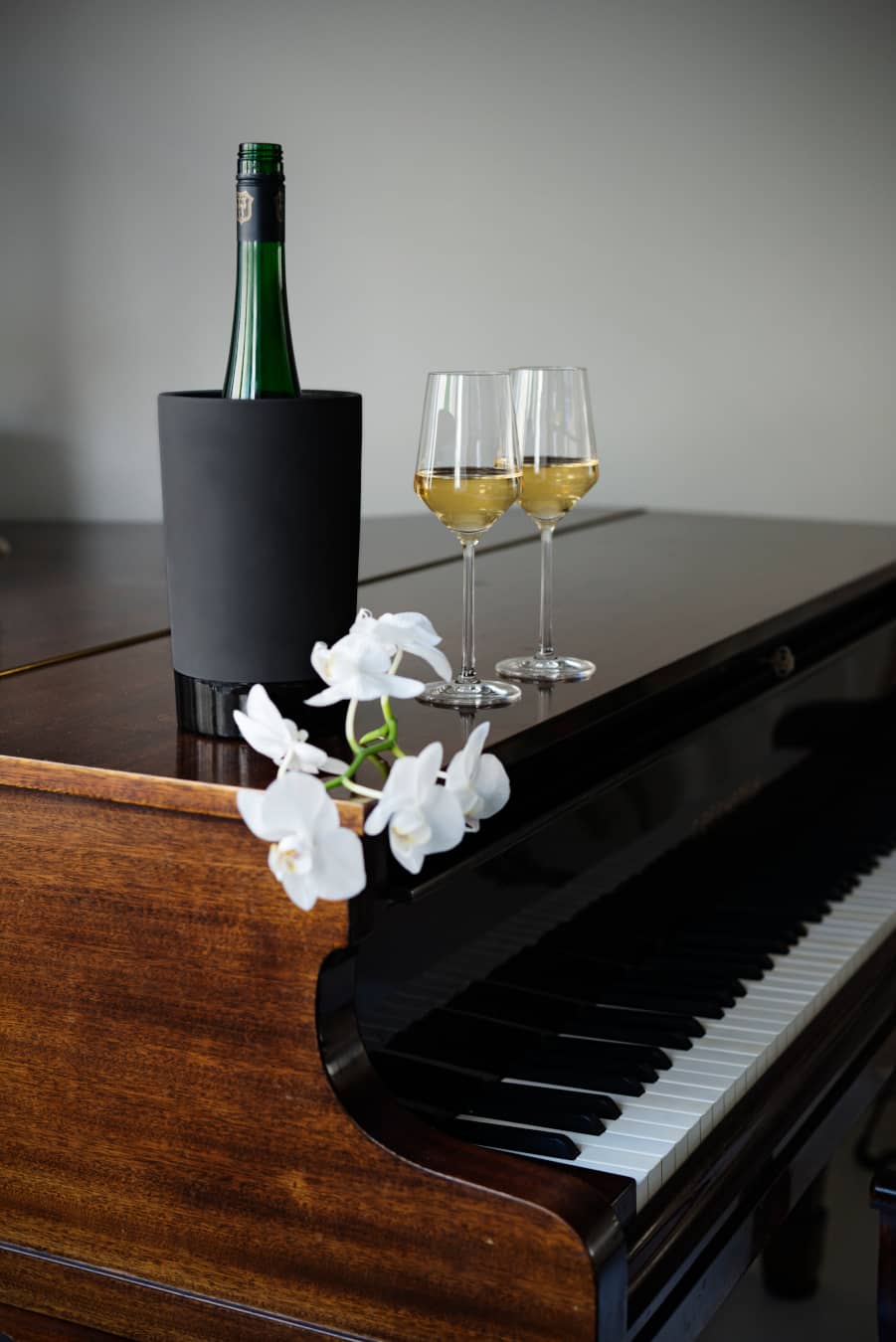 Magisso Cooling Ceramics Glacette Vino in Ceramica