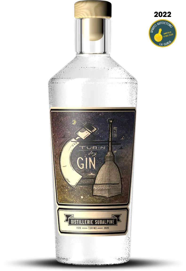 Affini Turin Gin secco 700ml 41% agrumi e ginepro