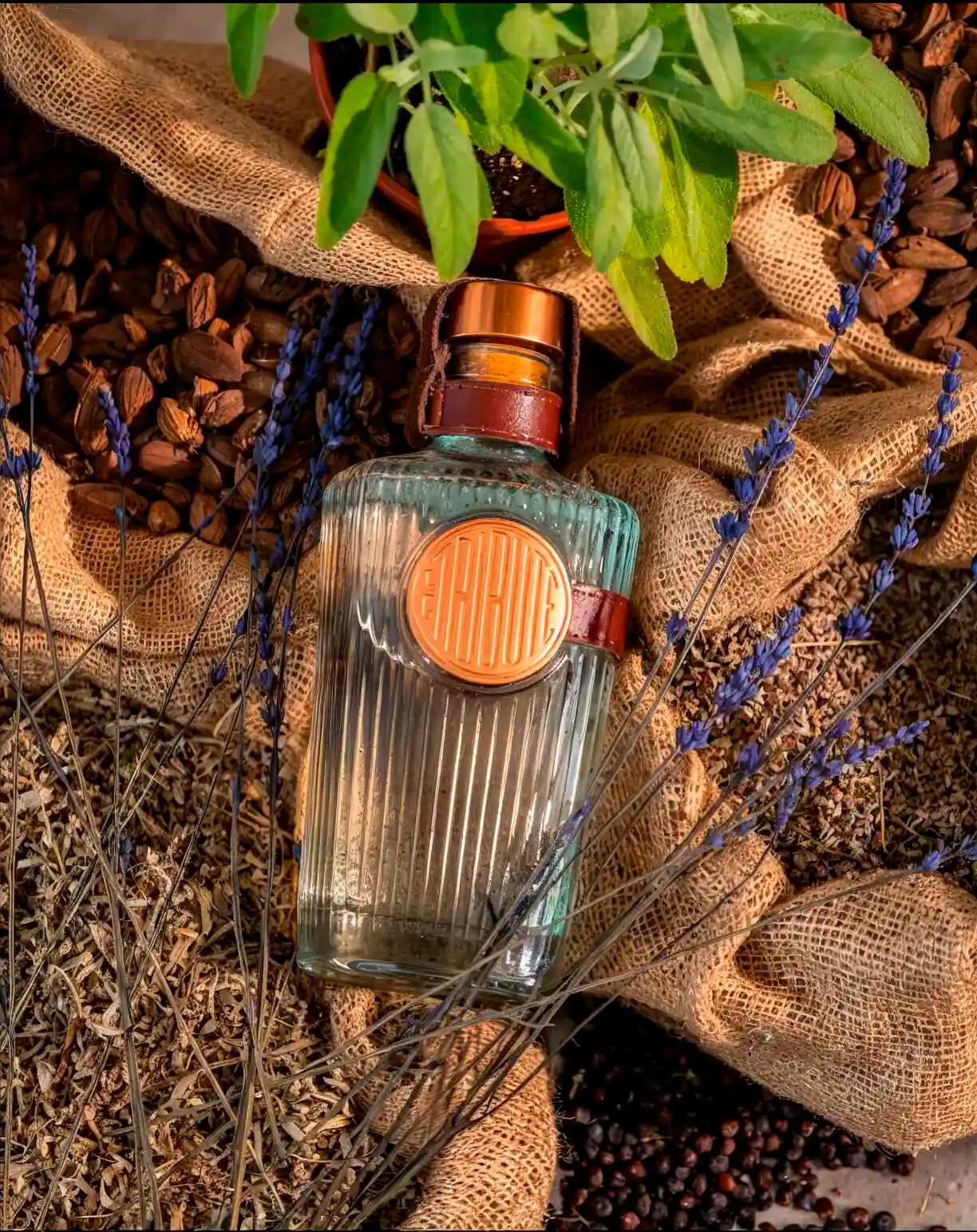 Le Tribute Countryside Gin Limited Edition in Astuccio