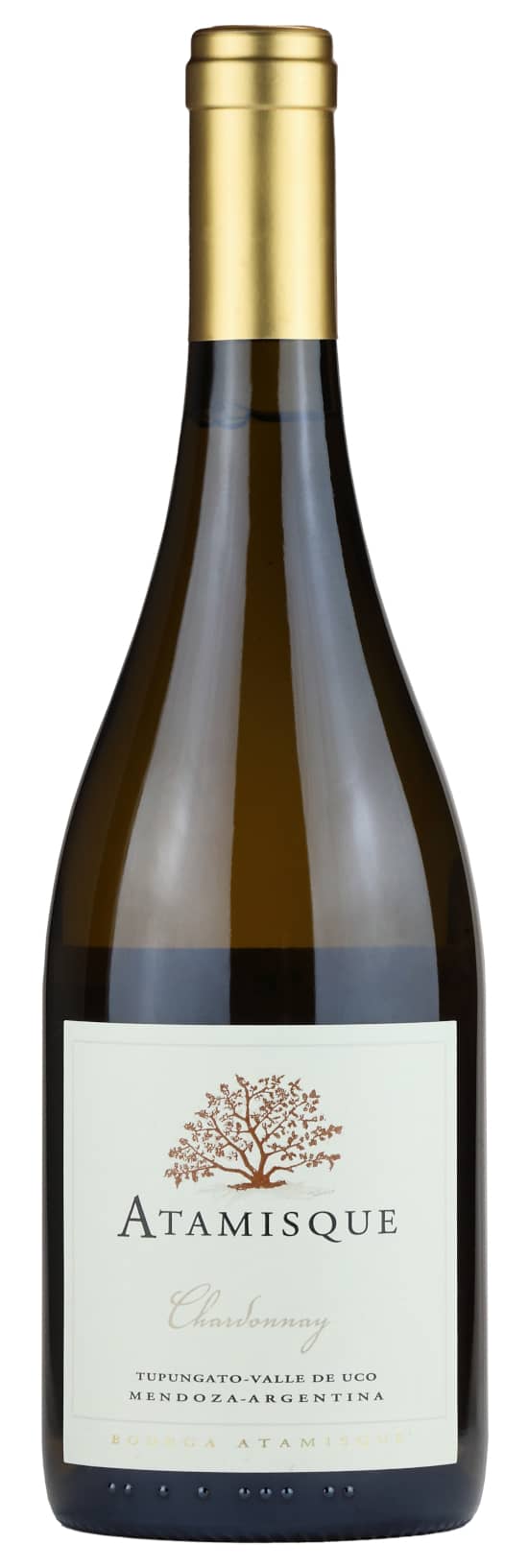 Atamisque Mendoza Chardonnay Vino bianco ananas e pera